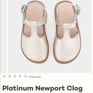 Freshly Picked Platinum Newport Clog